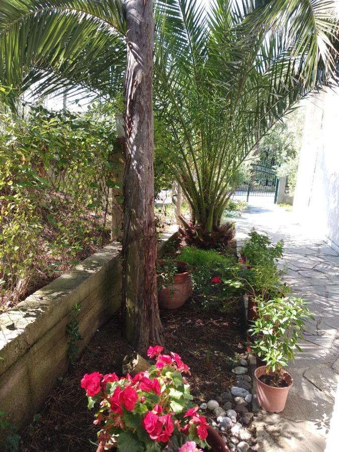 טורוני Velikis Apartments מראה חיצוני תמונה